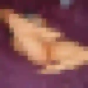 Leonore, 31 ans, connectée à Saint-Martin-la-Pallu pour un plan cul