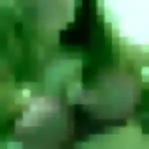 Photo de Caroline à Saint-Martin-le-Beau (29 ans) - plan cul anonyme