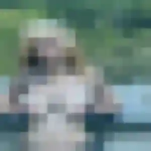 Diane, femme de 44 ans cherche plan cul à Saint-Mathieu-de-Tréviers