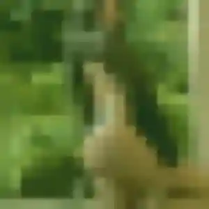 Renee, femme de 30 ans cherche plan cul à Saint-Maurice-de-Lignon