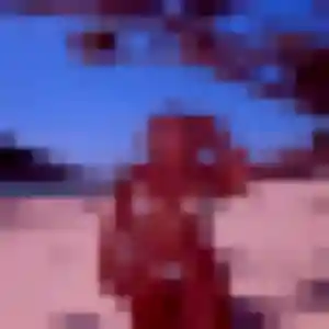 Photo de Alicia à Saint-Ondras (29 ans) - plan cul gratuit