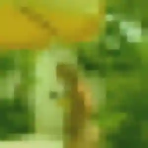 Photo de Albane à Saint-Pantaléon-de-Larche (34 ans) - plan cul anonyme