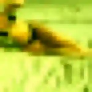 Charline, fille de 36 ans propose plan cul à Saint-Pantaléon-de-Larche