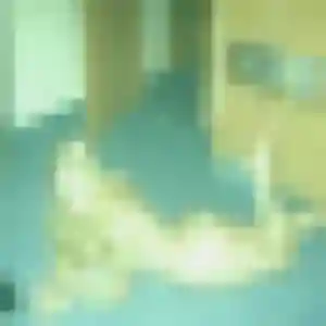 Photo sexy de Monique, 29 ans à Saint-Péravy-la-Colombe - rencontre coquine