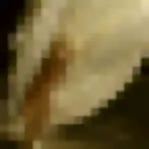 Sexy Laure, 22 ans à Saint-Pey-de-Castets - voir sa photo