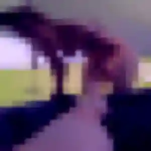 Yannick, 43 ans, en ligne à Saint-Pierre-des-Fleurs pour une rencontre coquine