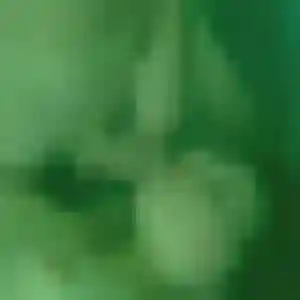 Contacte Anne-Charlotte, 38 ans à Saint-Pons-de-Mauchiens en t'inscrivant