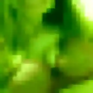 Noura, fille de 44 ans propose plan cul à Saint-Pouange