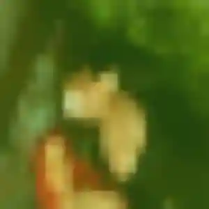 Apolline, femme de 25 ans veut plan cul à Saint-Priest-Ligoure