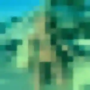 Photo de Celine à Saint-Priest-Ligoure (34 ans) - plan cul discret