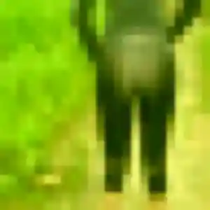Photo perso de Regine, 34 ans à Saint-Rabier - rencontre coquine