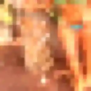 Photo de Ambre à Saint-Rémy-Boscrocourt (34 ans) - plan cul gratuit