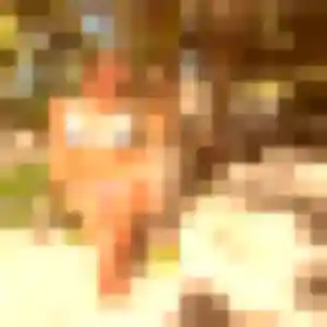 Photo exclusive de Jeanne, 42 ans à Saint-Rémy-Boscrocourt - rencontre coquine
