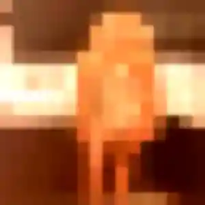 Photo exclusive de Eglantine, 22 ans à Saint-Rémy-de-la-Vanne - rencontre coquine