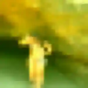 Zina de Saint-Romain-Lachalm, 38 ans - plan cul discret