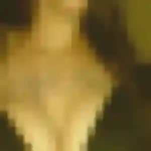 Photo perso de Dounia, 40 ans à Saint-Sauveur-le-Vicomte - rencontre coquine