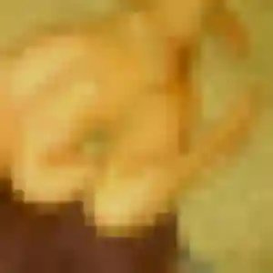 Photo exclusive de Morgane, 43 ans à Saint-Sauveur-le-Vicomte - plan discret