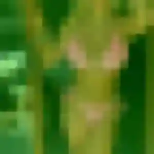 Gwenaelle, 32 ans, connectée à Saint-Sernin-du-Plain pour une rencontre coquine