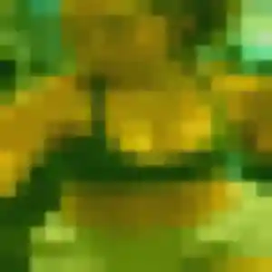Photo exclusive de Lucienne, 36 ans à Saint-Sulpice-des-Landes - rencontre coquine