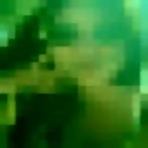 Photo perso de Mathilde, 43 ans à Saint-Sylvain - rencontre sans lendemain