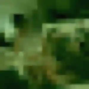 Solene, femme de 45 ans cherche plan cul à Saint-Sylvestre