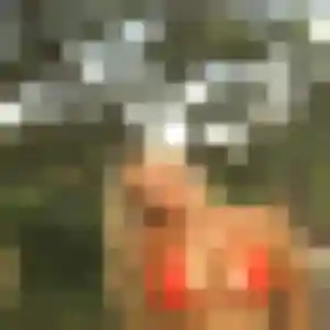 Photo de Olga à Saint-Thibaud-de-Couz (34 ans) - plan cul anonyme