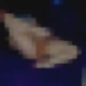 Eglantine, 41 ans, connectée à Saint-Valery-sur-Somme pour un plan cul