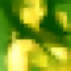 Photo perso de Alienor, 24 ans à Saint-Vincent-Cramesnil - plan discret