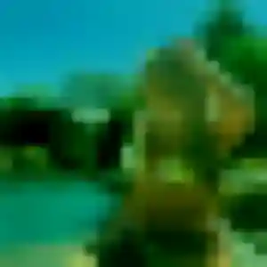 Dina (43 ans) à Saint-Vincent-de-Paul cherche une rencontre ce soir