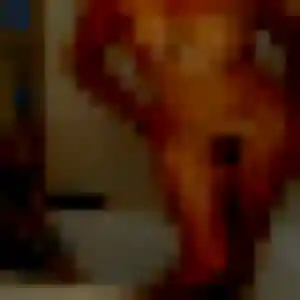 Photo privée de Coralie, 32 ans à Sainte-Cécile - rencontre sans lendemain