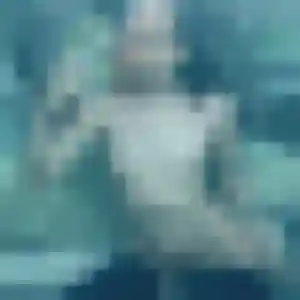 Découvre Sophie, 28 ans à Sainte-Cécile-les-Vignes gratuitement