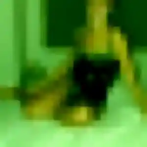 Photo exclusive de Luna, 44 ans à Sainte-Croix-de-Quintillargues - rencontre coquine