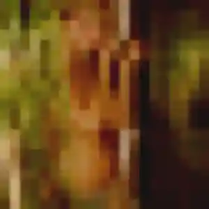 Brune (41 ans) à Sainte-Marthe propose une rencontre rapidement
