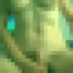 Alix, 45 ans, dispo pour plan cul à Sainte-Sabine-sur-Longève
