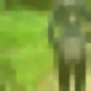 Contacte Estelle, 29 ans à Sainte-Terre en t'inscrivant