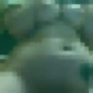 Yvonne, 40 ans, disponible à Sainte-Terre pour un plan cul