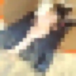 Photo privée de Lisa, 35 ans à Sales - rencontre coquine