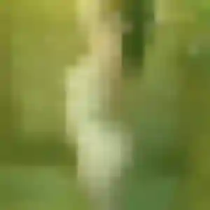 Photo privée de Rachida, 31 ans à Salins - rencontre coquine
