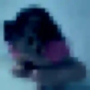 Photo exclusive de Delice, 43 ans à Sallebœuf - rencontre sans lendemain
