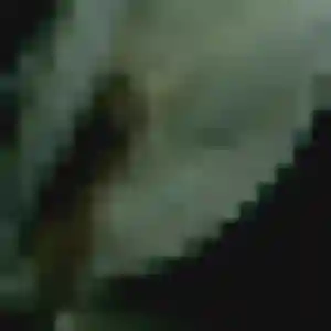 Photo de Giulia à Salvagnac (38 ans) - plan cul discret