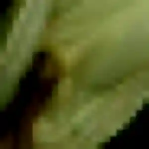 Photo privée de Alessandra, 35 ans à Samoëns - rencontre sans lendemain