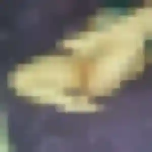 Photo de Flore à Sampigny (41 ans) - plan cul anonyme