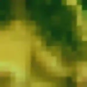 Photo privée de Myriam, 38 ans à Sanilhac-Sagriès - rencontre sans lendemain