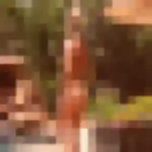 Photo de Ilona à Sauvagnon (35 ans) - plan cul anonyme