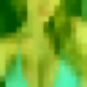 Photo de Zina à Sedan (25 ans) - plan cul discret