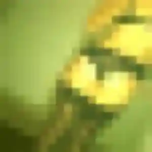 Photo privée de Isabella, 22 ans à Seichamps - rencontre coquine