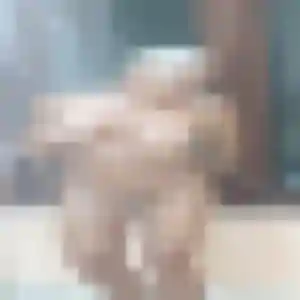 Audrey (35 ans) à Semblançay cherche une rencontre ce soir