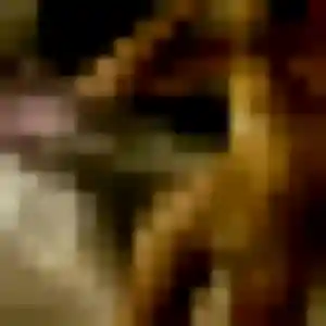 Photo perso de Charline, 27 ans à Sept-Saulx - rencontre coquine