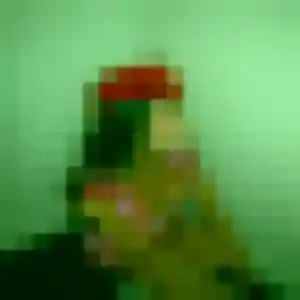 Typhaine, 41 ans, en ligne à Septmoncel les Molunes pour une rencontre coquine