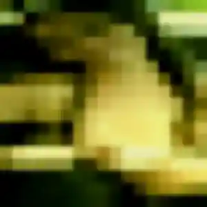 Veronique, 33 ans, disponible à Serémange-Erzange pour une rencontre coquine